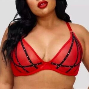 NWT Frederick's Of Hollywood Rozlyn Sheer Red Mesh and Stud Underwire Bra, 34DD